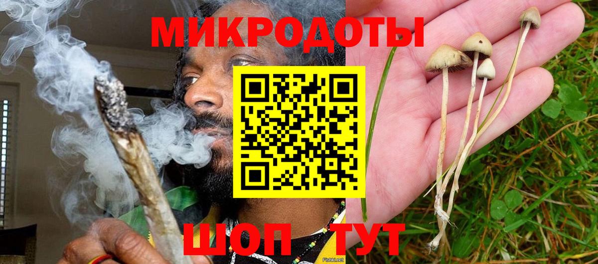 Губкин  Галлюциногенные грибы мицелий  Вход с VPN 