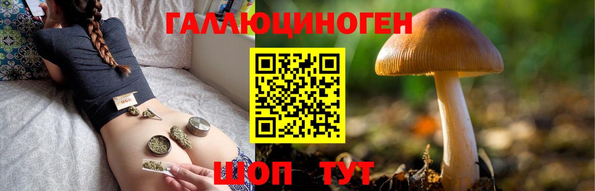 Галлюциногенные грибы Psilocybine cubensis Губкин