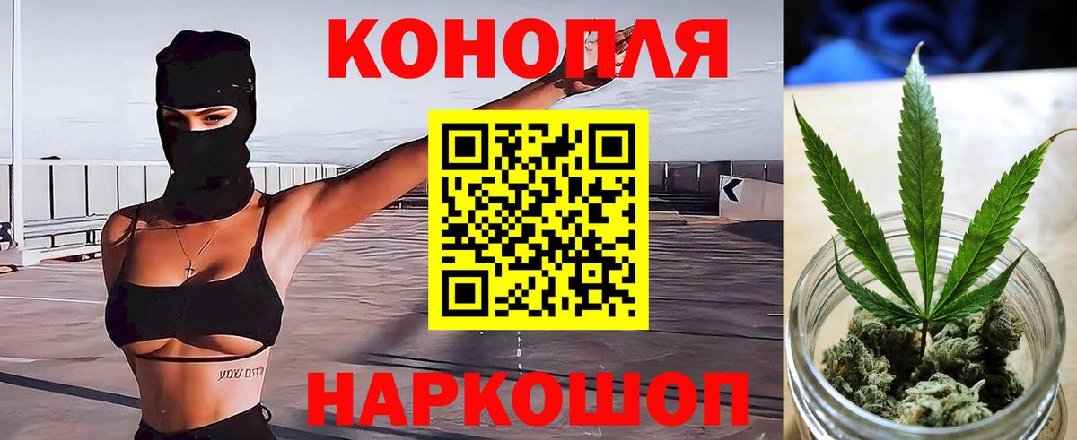 Губкин  Бошки Шишки SATIVA & INDICA  Вход с VPN  Конопля THC 21% 